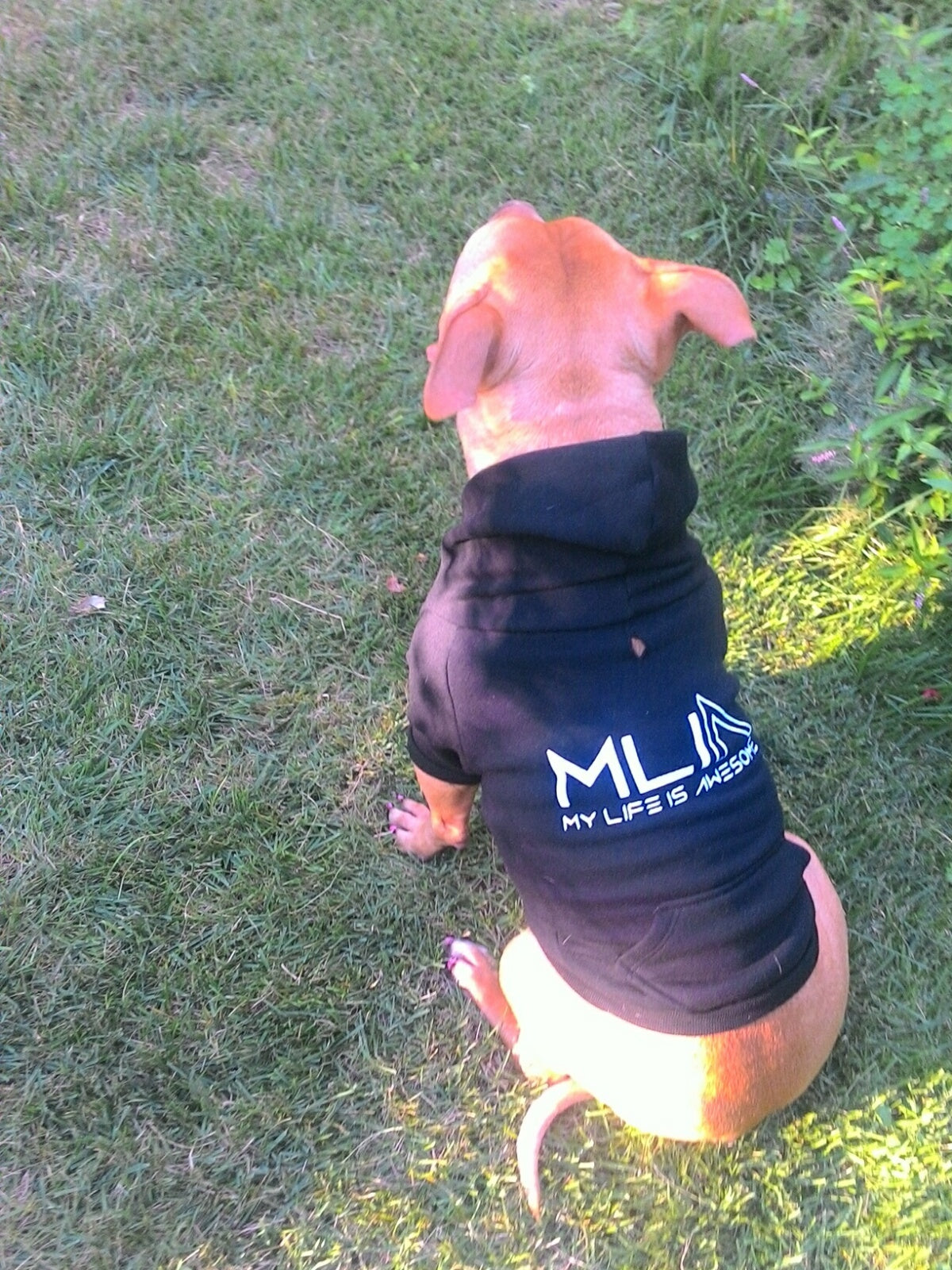 MLIA Black Doggie Hoodie